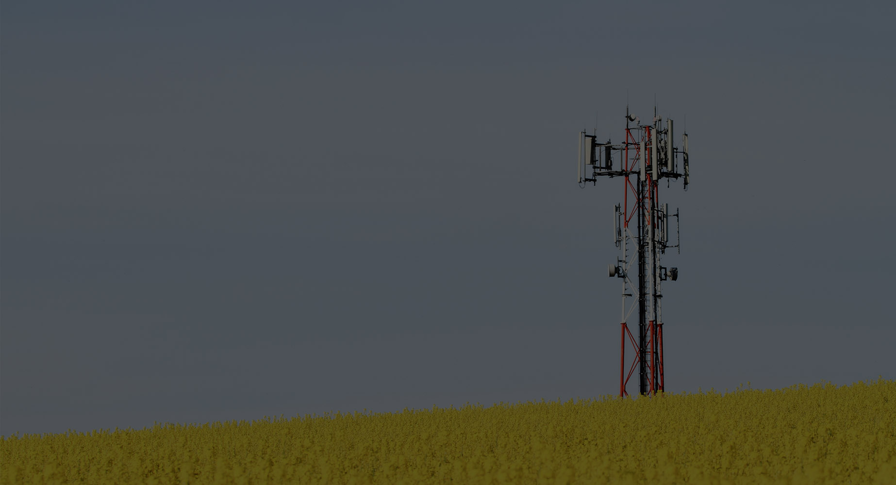 images/slider_1_cellular.jpg